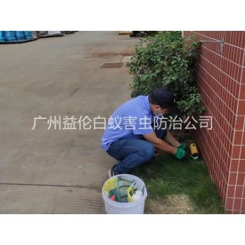 新塘（táng）布放滅鼠屋（wū）工程