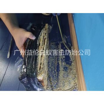 廣州體育館滅治白（bái）蟻工程