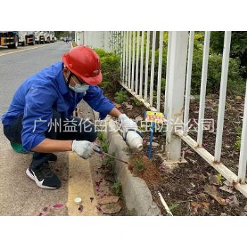 增城（chéng）紅火蟻（yǐ）防治（zhì）工程